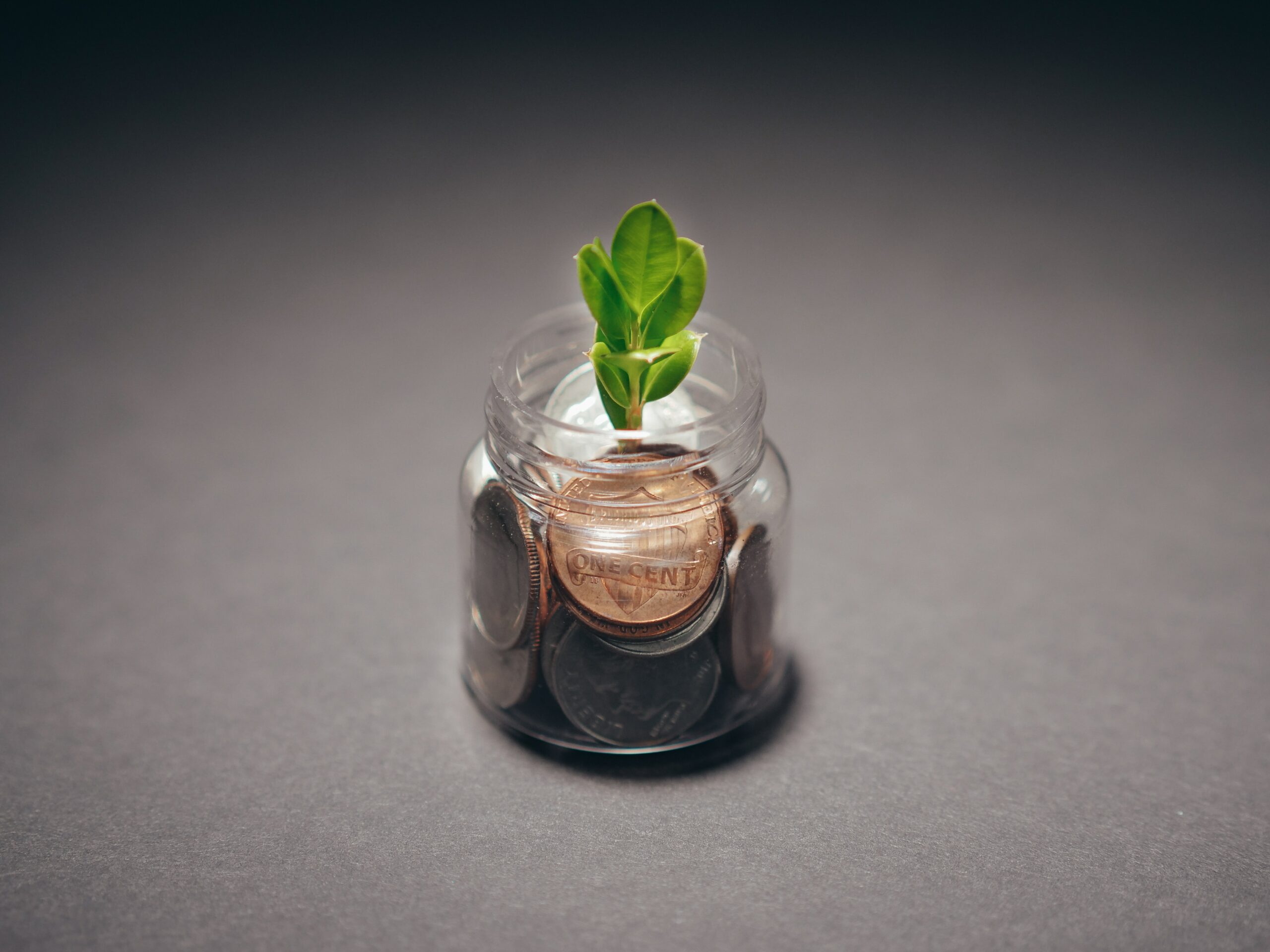 small jam jar filled with coins and plant growing
