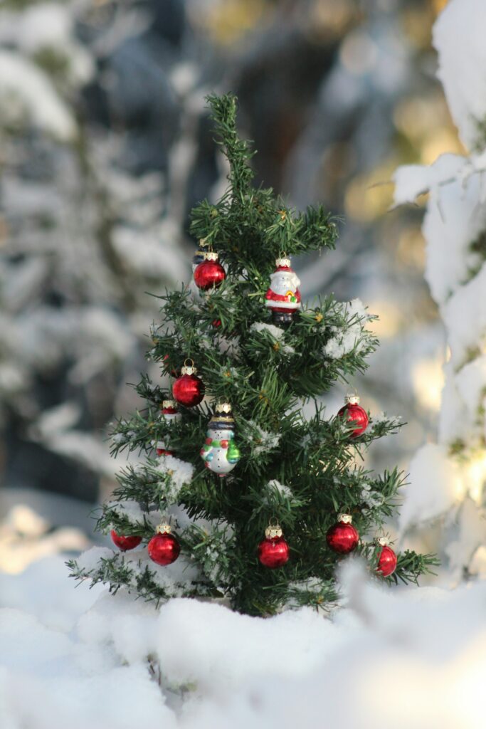 tiny Christmas tree with ornaments in the snow